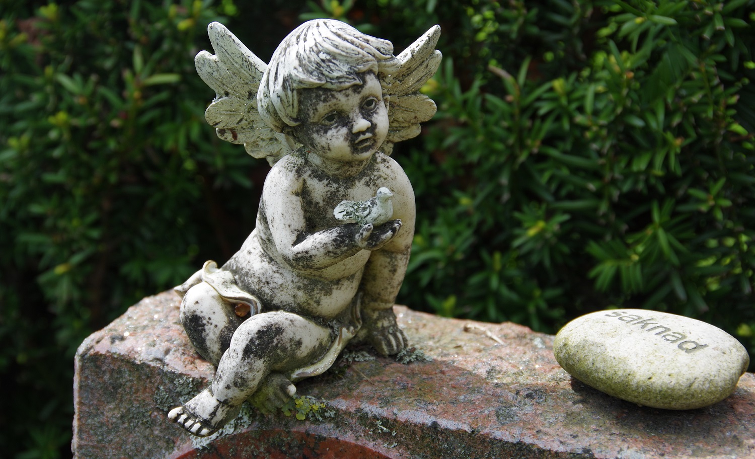 Ängel