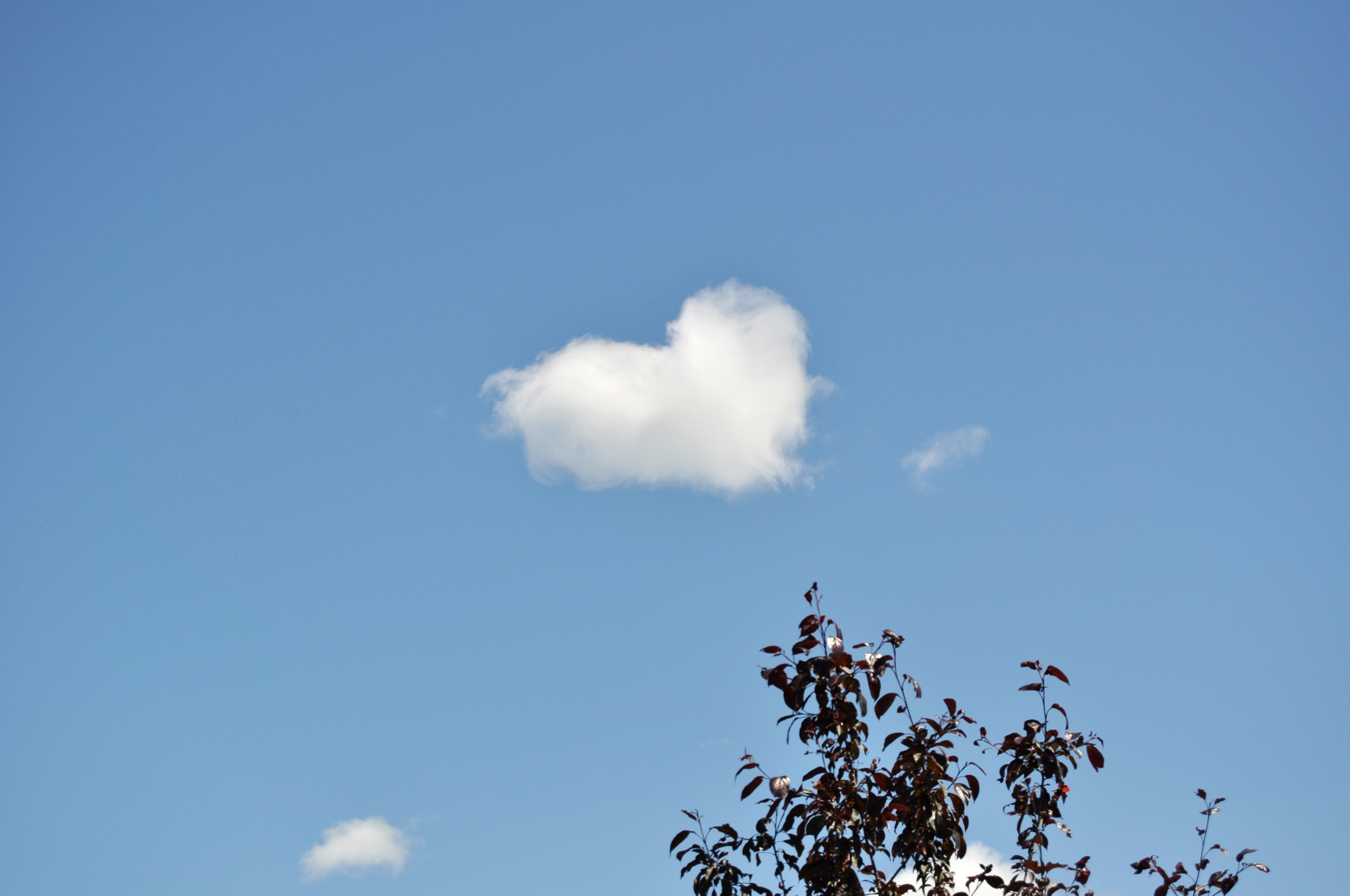 Hjärtformat moln mot en blå himmel.