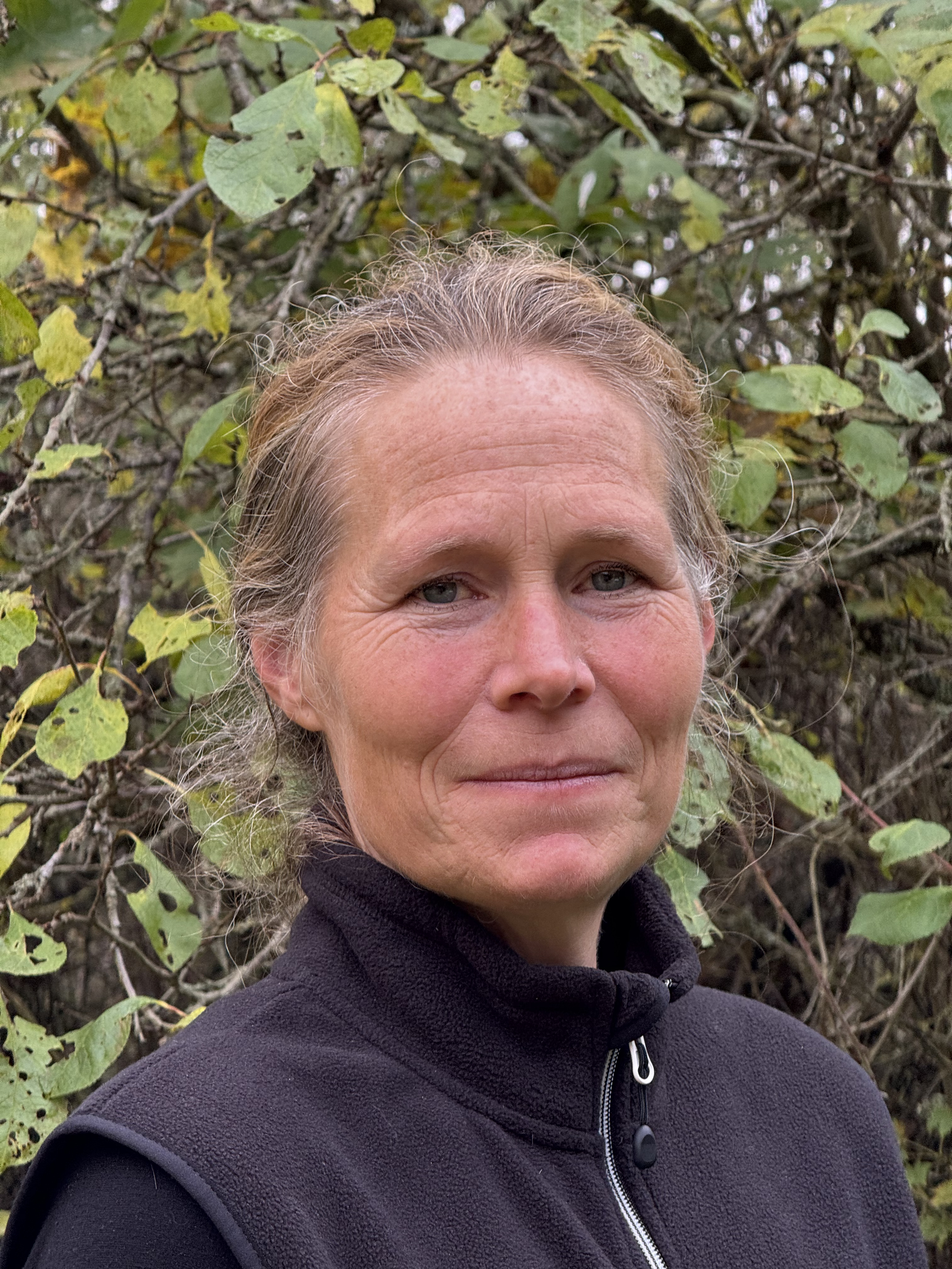 Maja Gustafsson