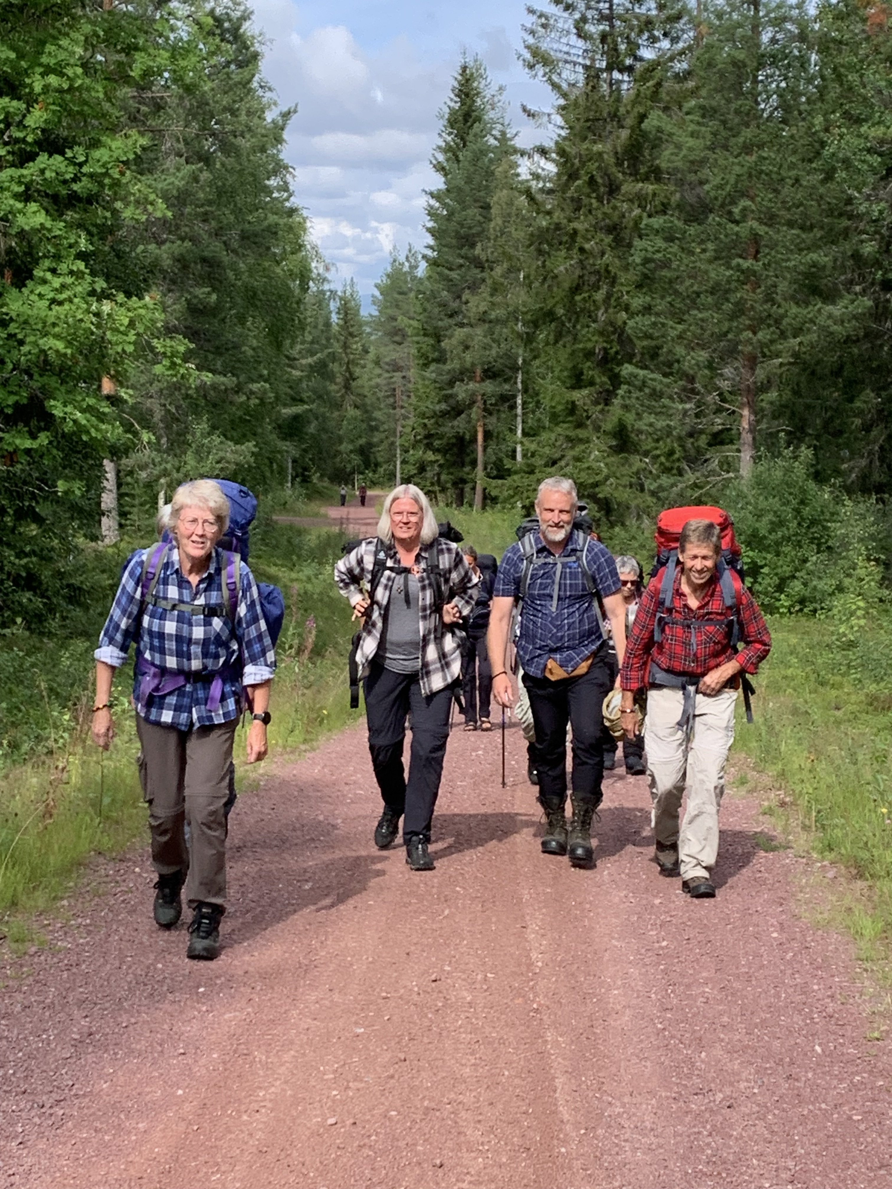 Grupp med vandrare som går på en grusväg i en skog.