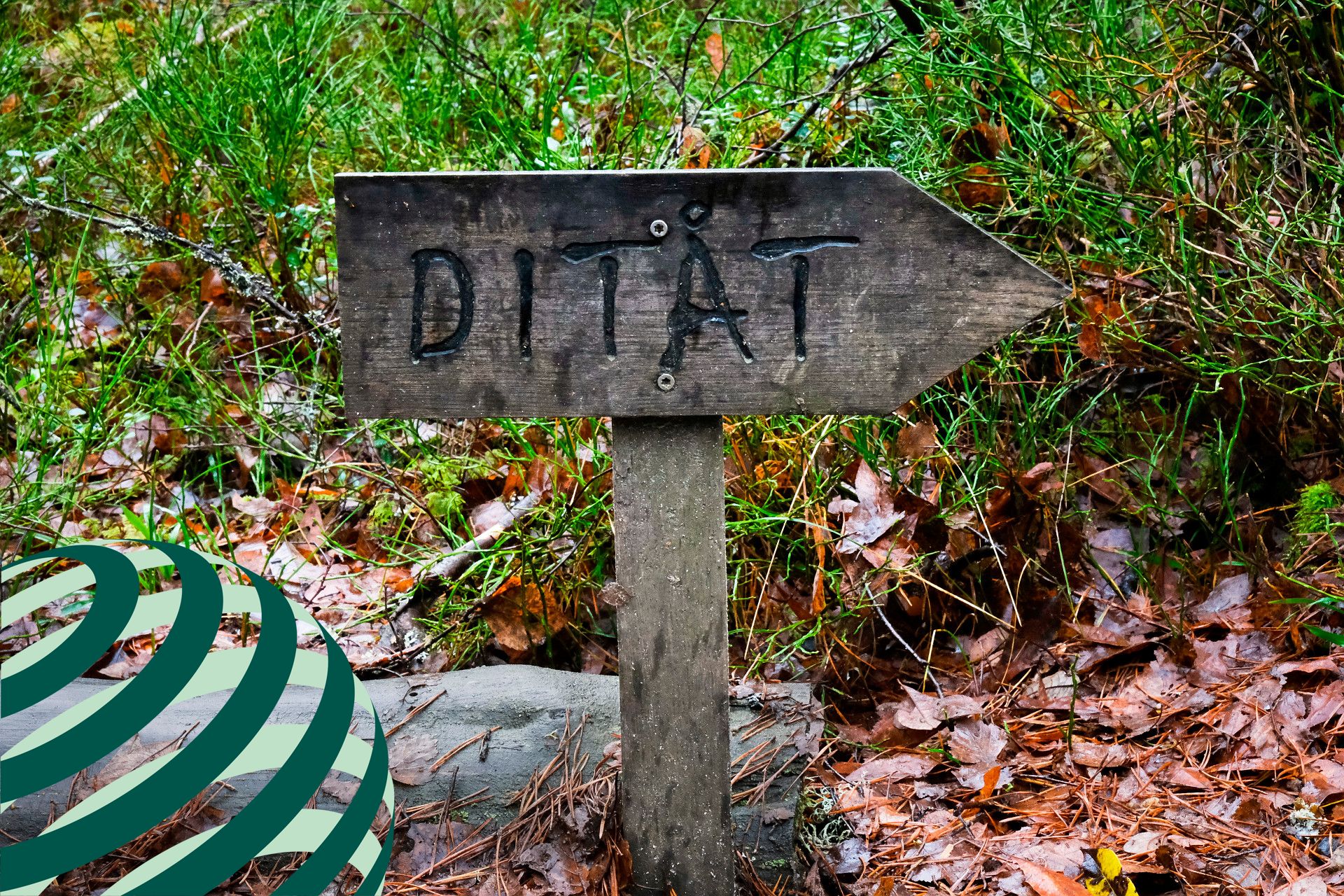 Skylt med pil och texten "ditåt"