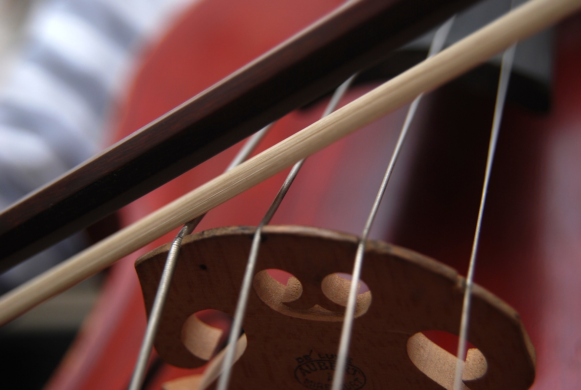Cello i närbild
