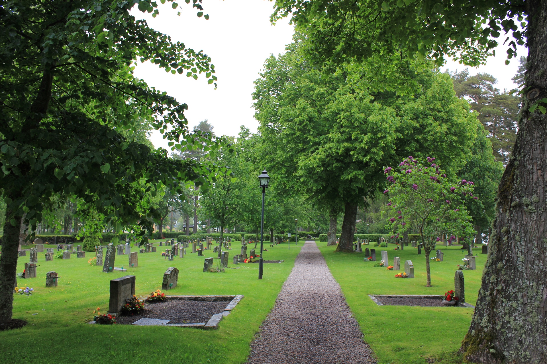 Gravar på Nysunds kyrkogård en sommardag