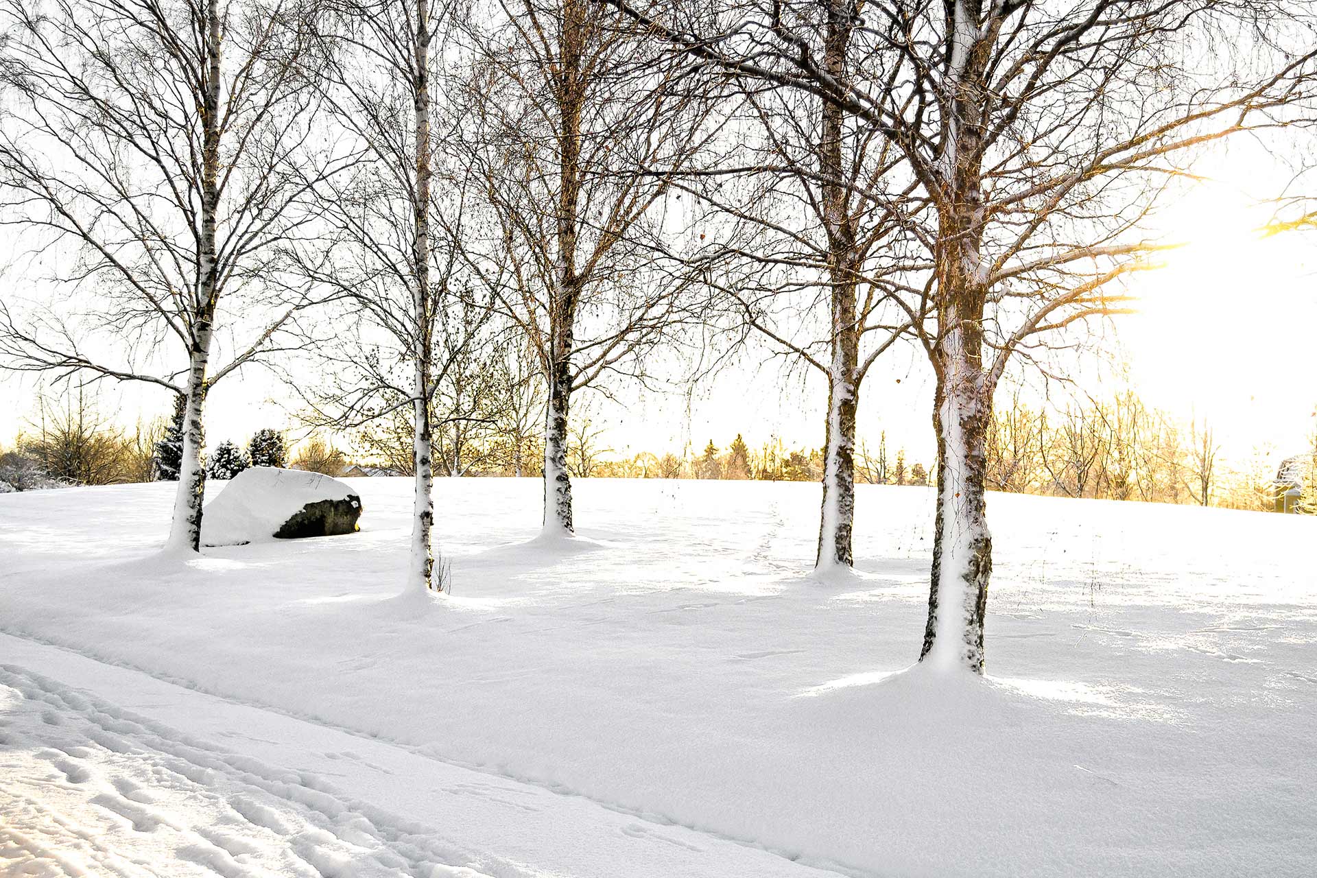 Vintervy från Vaksala kyrkogårds minneslund