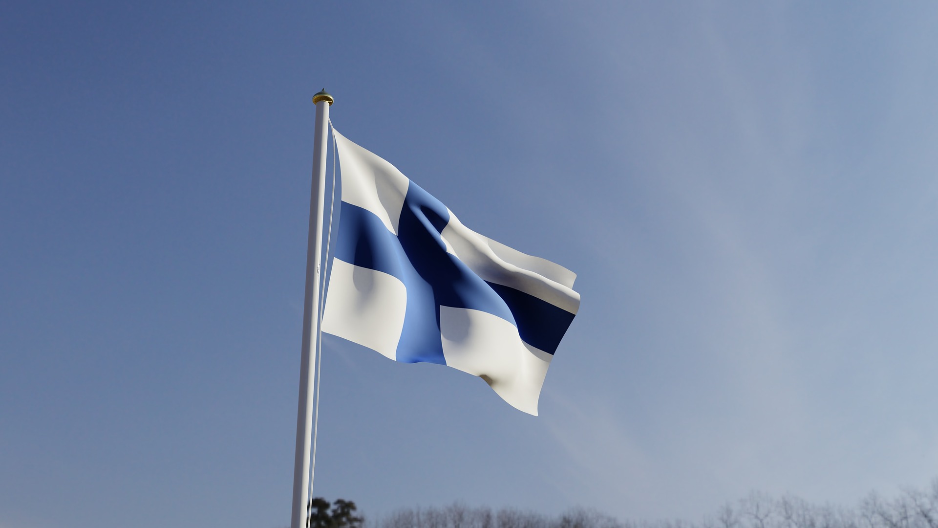 Finska flaggan.