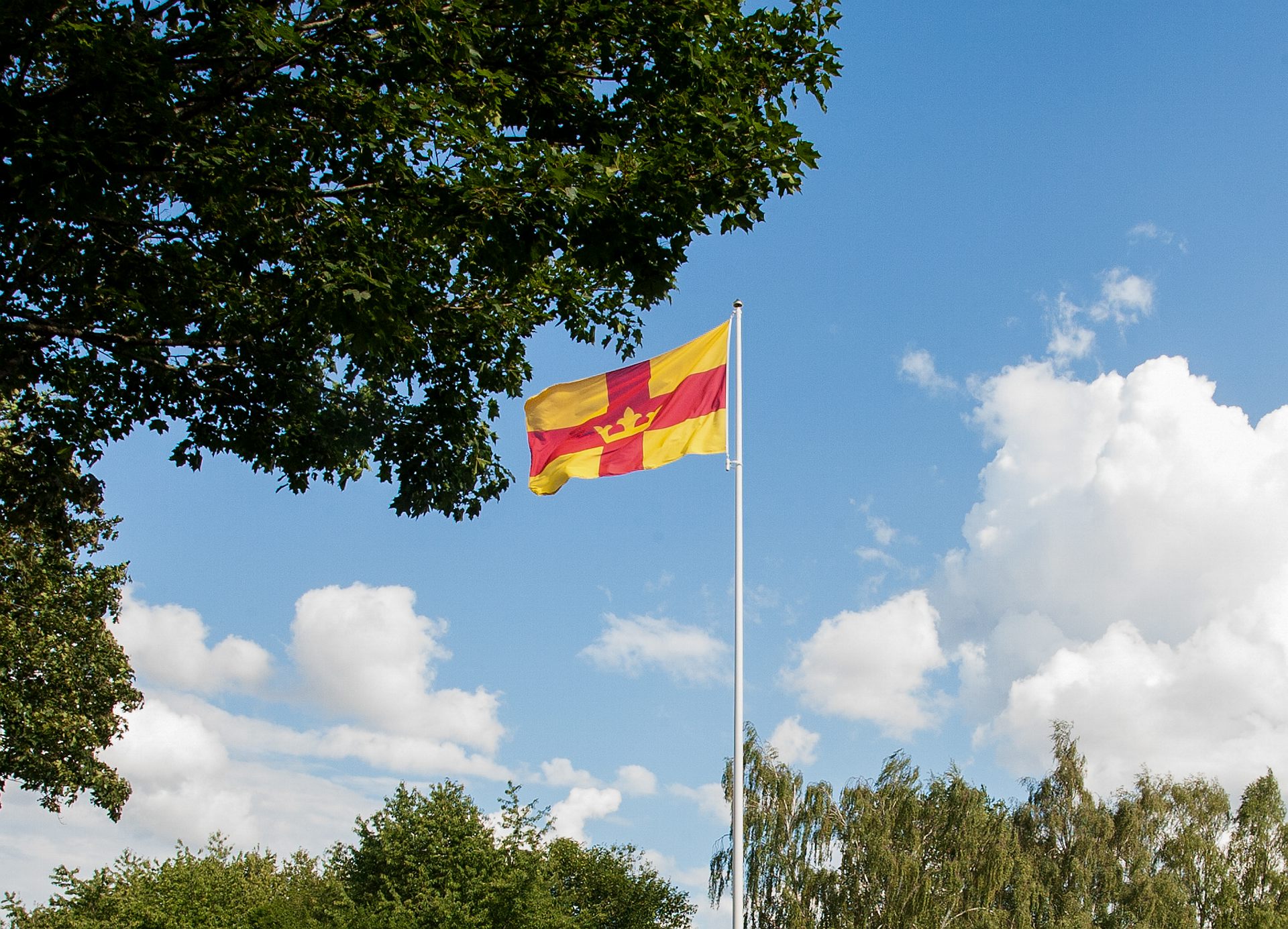 Bild på Svenska kyrkans flagga.