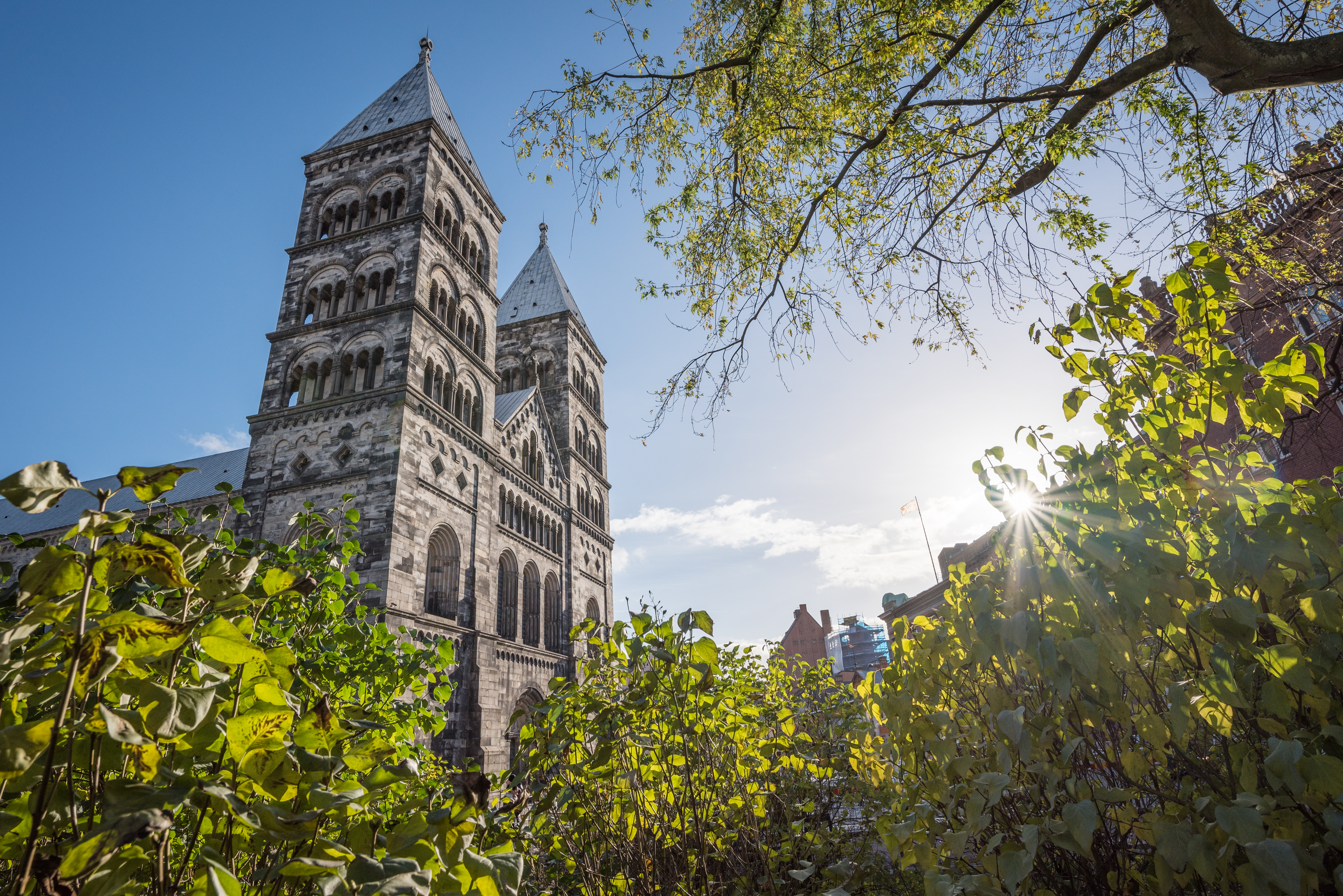 Lunds domkyrka sticker upp bakom några buskar.